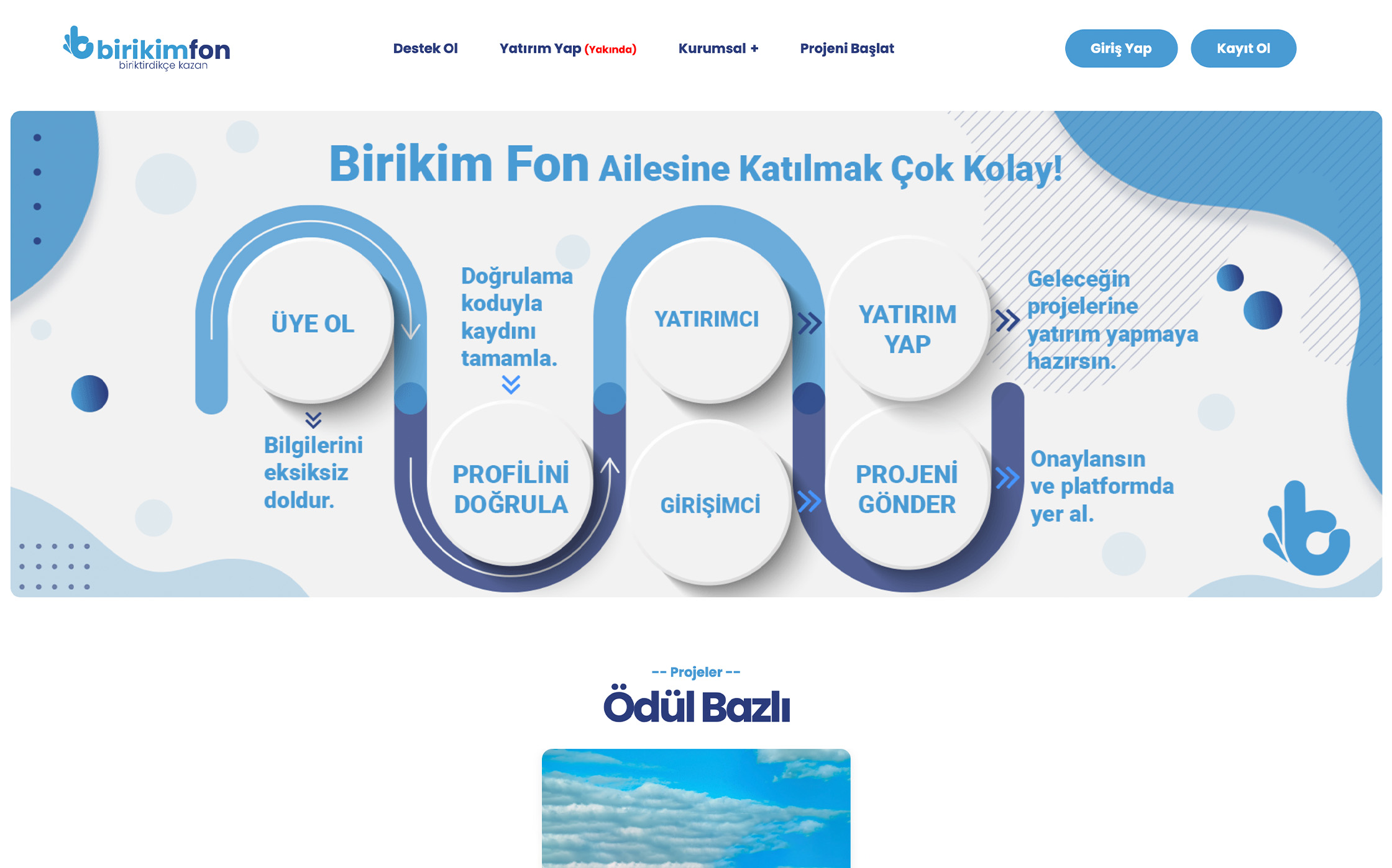 Birikim Fon
